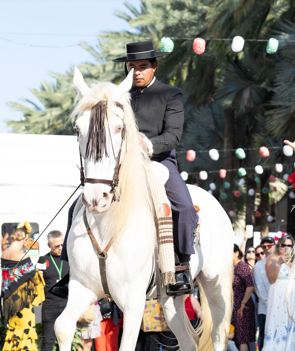 Spanish horse dance & exhibition