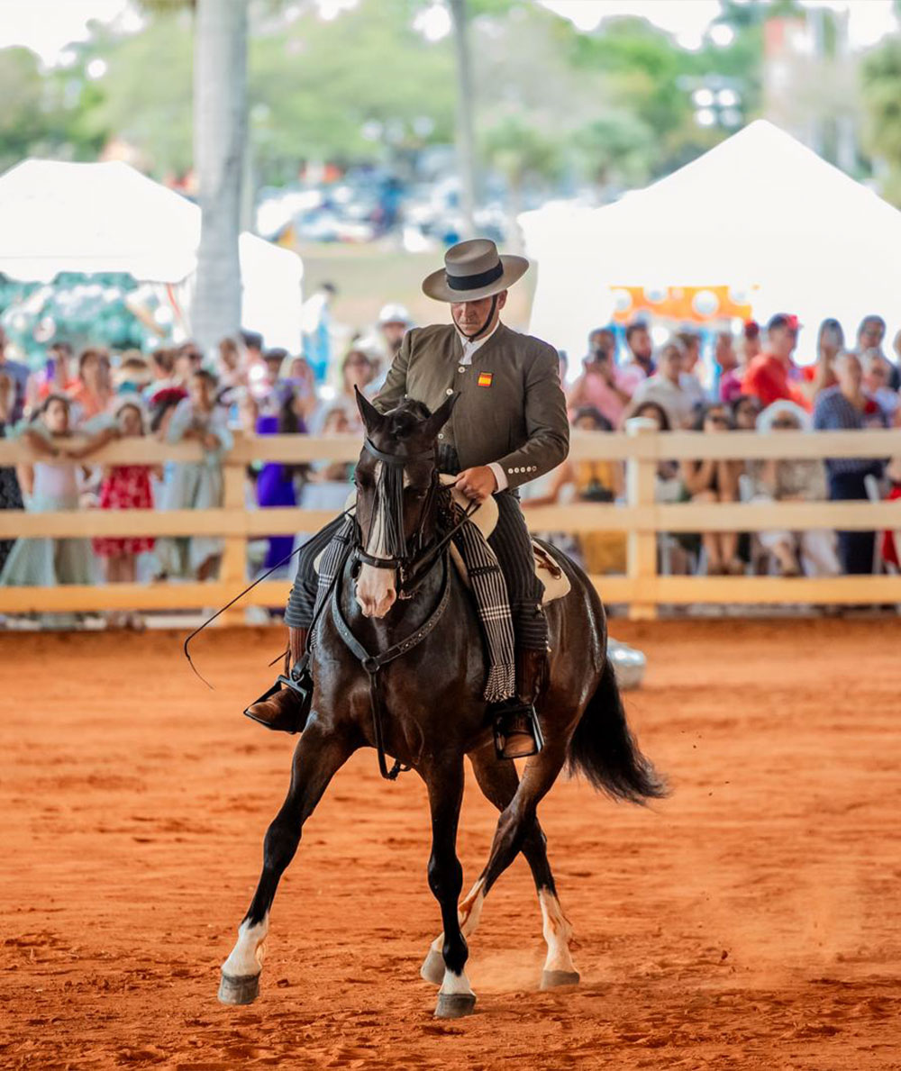 Spanish horse dance & exhibition